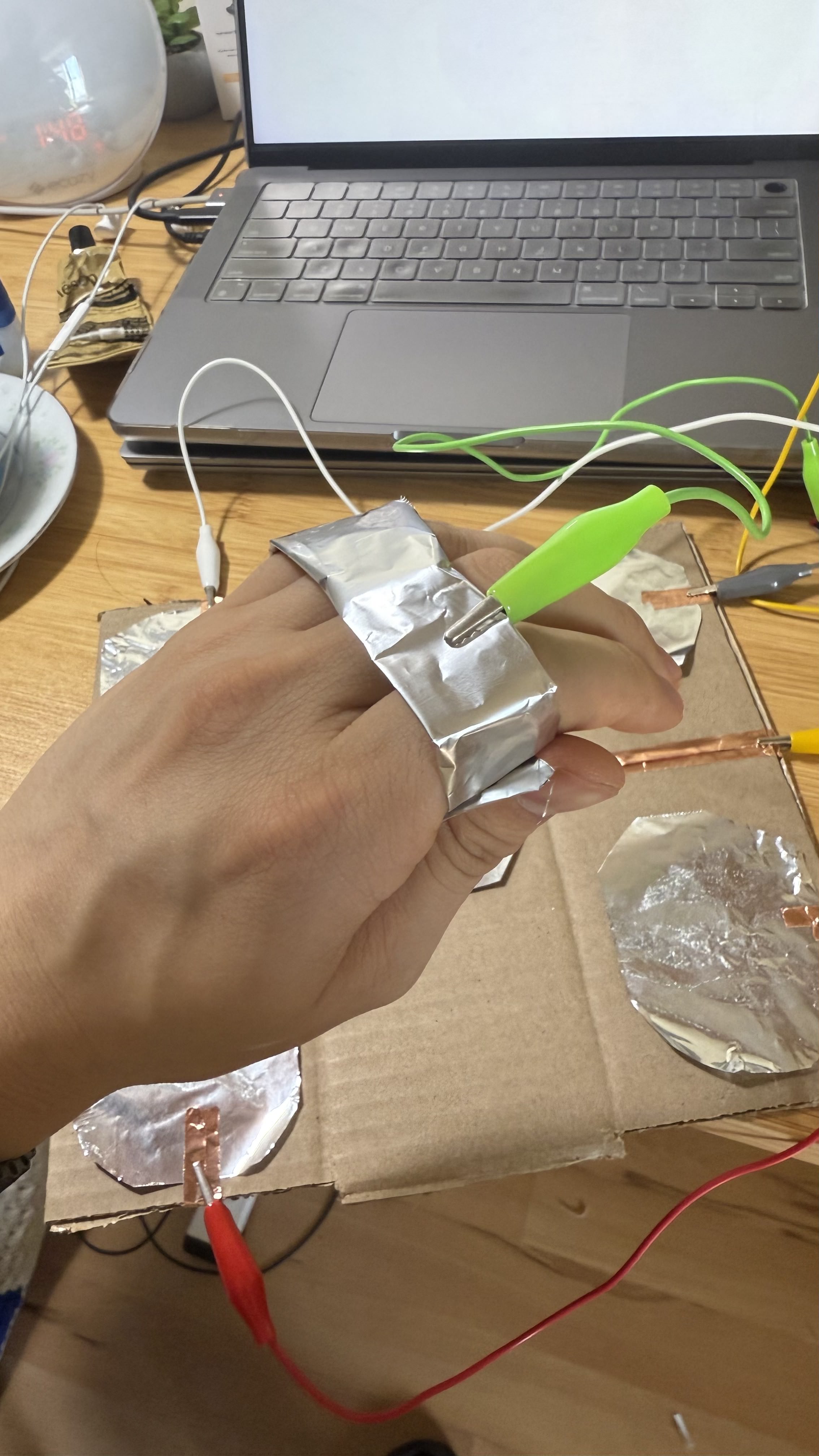 Using left to connect to Earth on Makey Makey control panel