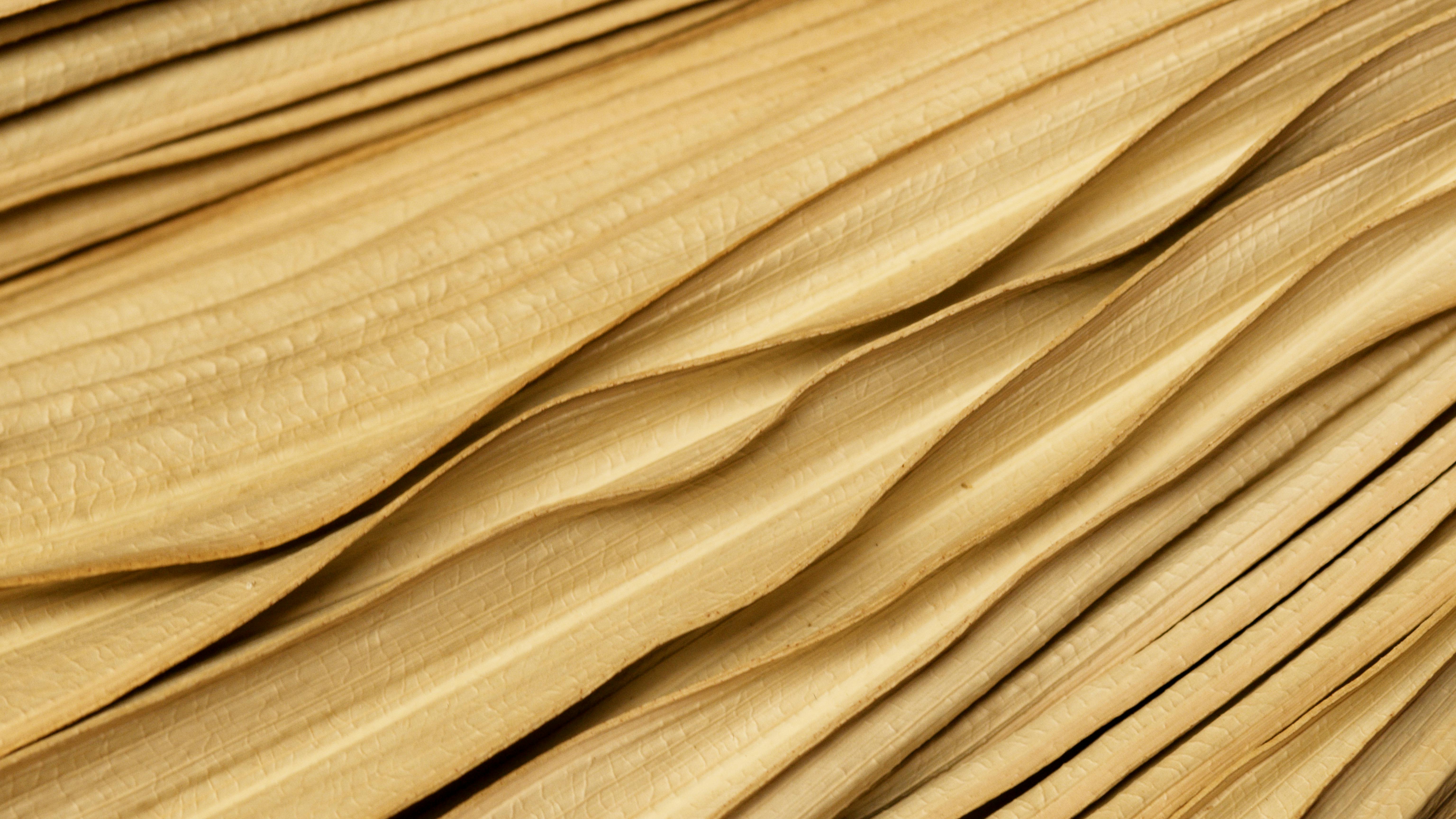 test3Lorem ipsum dolor sit amet, consectetur adipiscing elit